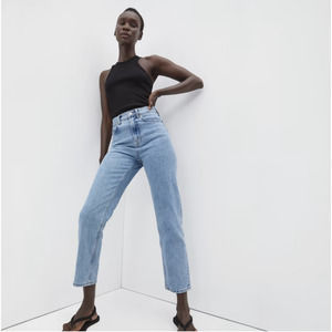 Everlane Way High Organic Cotton Light Indigo Jean
